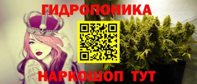 кокаин колумбия Кингисепп