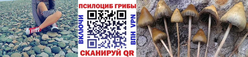 Псилоцибиновые грибы прущие грибы  цена   Каменск-Шахтинский 