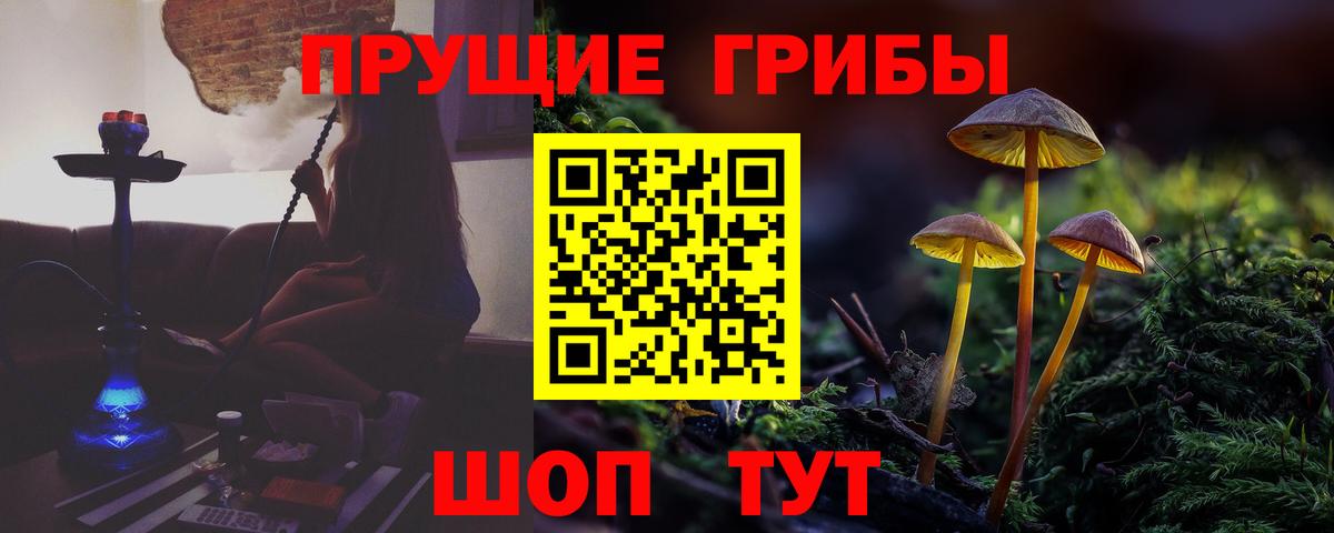Псилоцибиновые грибы прущие грибы  Вход с VPN  Каменск-Шахтинский  Псилоцибиновые грибы мицелий 